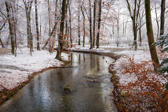  Winter view of English Garden in Munich, Germany