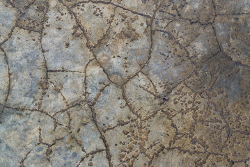 Polished old grey concrete floor texture background