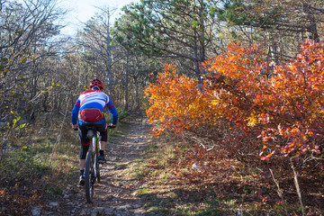 Naklejka premium Mountain Bike cyclist