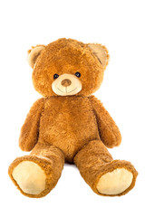 Teddy bear on a white background.