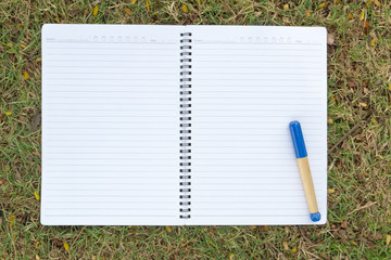 Blank notebook on the grass with blue pen in the park. View from above