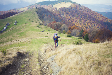 Obraz premium Tourist with a backpack is on a forest trail.