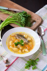 fresh soup of river fish in the plate