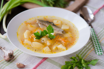 fresh soup of river fish in the plate