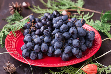 organic red grapes and fir branch with Christmas decorations