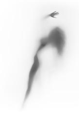 Silhouette of a sexy woman, with long hair and hand, silhouette
