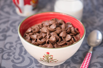 tasty chocolate cornflakes in thel bowl