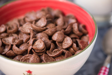 tasty chocolate cornflakes in thel bowl