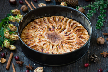 Homemade Organic Apple Pie Dessert Ready to Eat