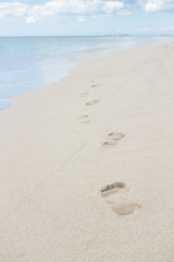 Foot prints on a sandy beach with selective focus