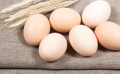 Eggs on the background of the canvas.