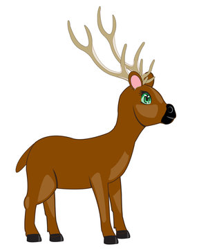 Cartoon of the deer with horn