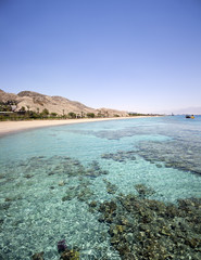 Eilat Coastline - Red sea