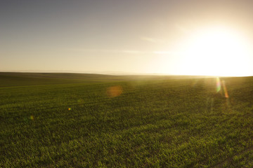 Obraz na płótnie Canvas Sunrise over the field