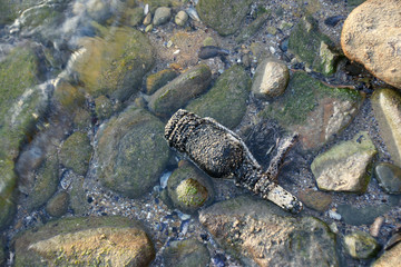 old bottle 10