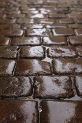 Wet cobblestone in the rain