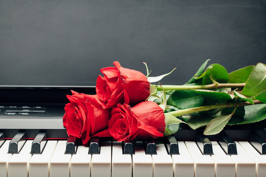 red roses on piano keys with copy-space