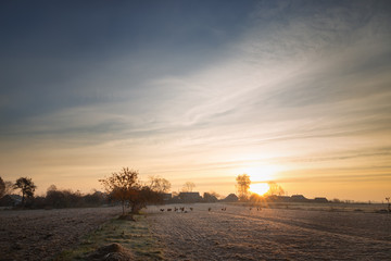 autumn morning in the village
