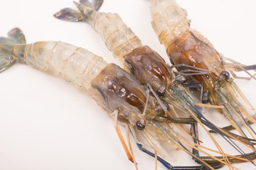 Raw tiger Fresh shrimps on white dish