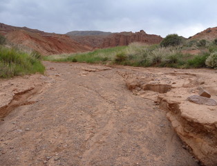 red rock formations in Canyon Konorchek in Kyrgyzstan