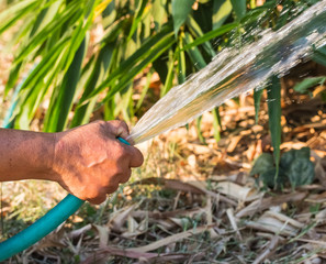 Working watering garden from hose