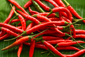 Red pepper on banana leaves