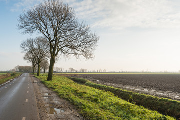 Country road in the fall season