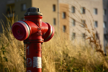 Hydrant strażacki - obrazy, fototapety, plakaty