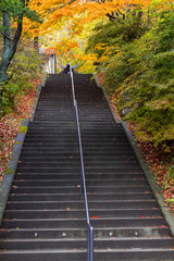 Obraz premium outdoor stairs in autumn