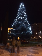 pareja joven contemplando un abeto adornado por navidad