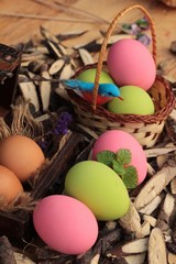 Colorful pickled of preserved egg on wood background.