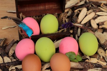 Colorful pickled of preserved egg on wood background.