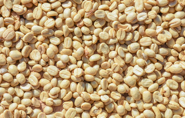 Dry coffee beans background
