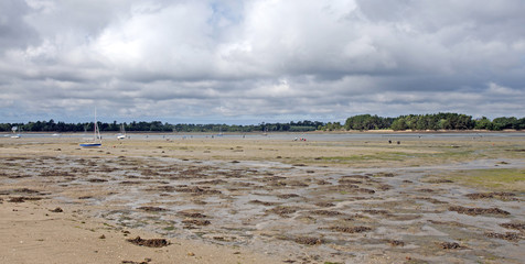 Beach at low tide in summer