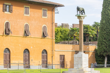 Obraz premium orange old house and column with wolf and brothers in Pisa in Italy
