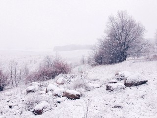 Zimowy warmiński pejzaż © Tomasz Niewęgłowski