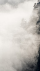 Obraz premium Nebelschwaden - Fog draws over a mountain slope through the forest