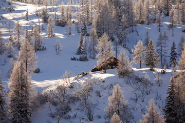 Die Hundsdorferhütte im Winter