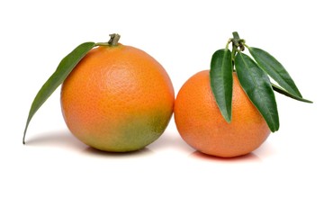 Mandarini su sfondo bianco