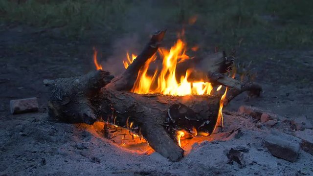 Camp fire burns at early morning. Video and audio seamlessly loop.