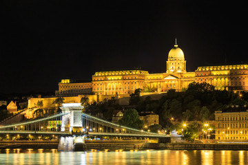 Night view of Chain bridge and royal palace in Budapest, Hungary