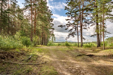 Fototapeta premium Летний загородный пейзаж в Псковской области 