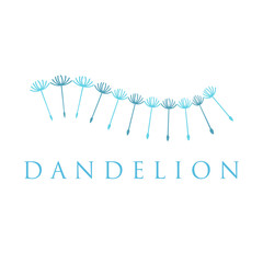 Illustration of concept dandelion. Vector