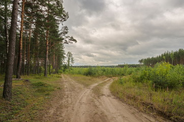 Fototapeta na wymiar Летний загородный пейзаж в Псковской области 