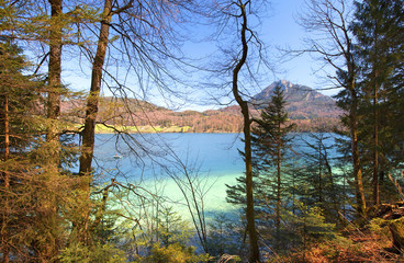 Obraz premium Frühlingszauber am Fuschlsee