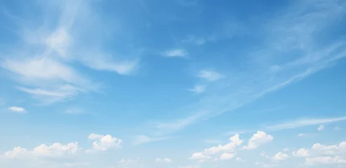 Tuinposter witte wolk op blauwe lucht © Serghei V