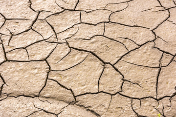 details of a dried cracked seabed