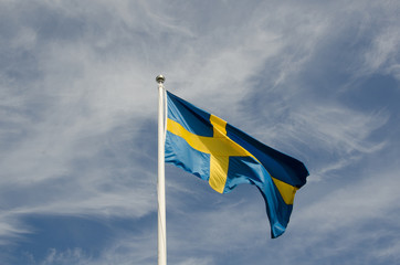 Swedish Flag