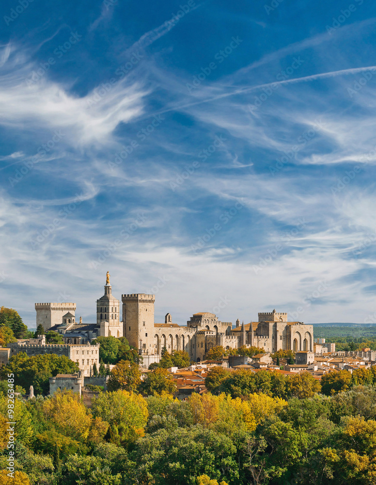 Wall mural View of Papal palace in Avignon