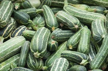 Lots of fresh zucchini